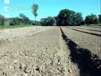 Gemüse Beetfräse 6