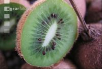 Kiwi 3