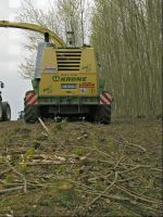 Energieholz Ernte 8