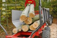 Holz laden 10