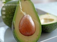 Avocado 1