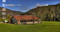 Rinderstall Panorma 2