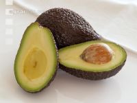 Avocado 2