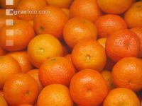 Mandarine 