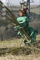 Energieholz Ernte 21