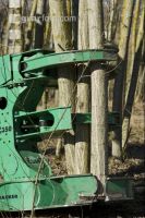 Energieholz Ernte 22