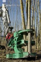 Energieholz Ernte 23