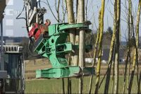 Energieholz Ernte 38
