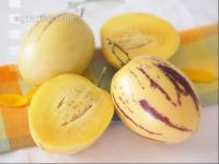 Pepino 2