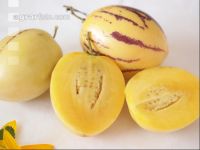 Pepino 1