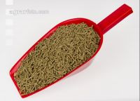 Kaninchen vital 1