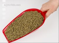 Kaninchen vital 2