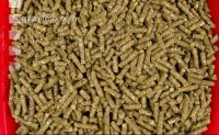 Kaninchen vital 3
