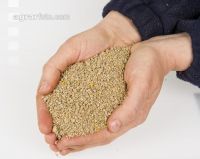 Schweinemastkorn 3