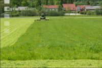 Dauerwiese mähen 17