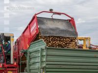 Industriekartoffel Ernte 81
