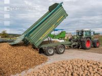 Industriekartoffel Ernte 65