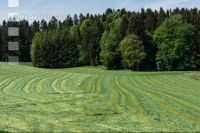 Dauerwiese gemäht