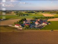 Kleegras pflügen 13