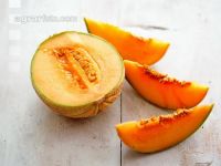 Zuckermelone 1