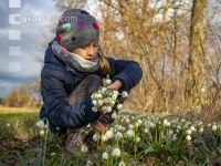 Frühlingsknotenblume 17
