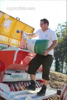 Gerste Saatgut 4