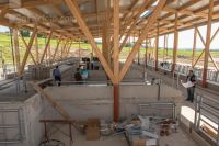 Neuer Laufstall Bauphase 2