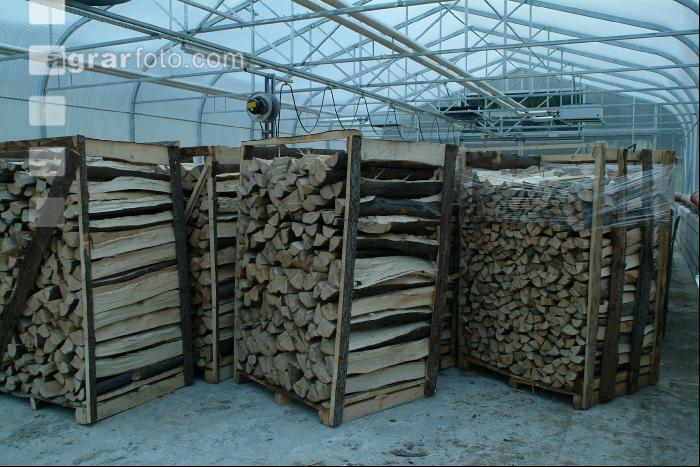 Holz Trocknung 1