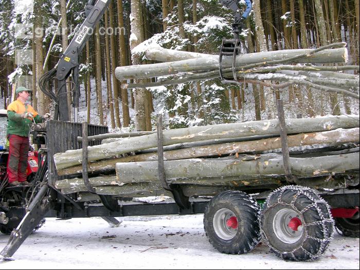 Holz laden 25
