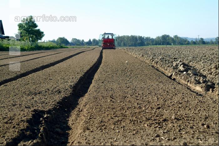 Gemüse Beetfräse 5