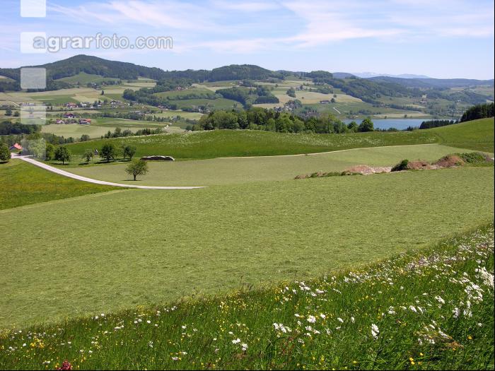 Salzkammergut 3
