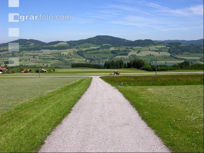 Salzkammergut 6