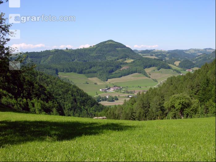 Salzkammergut 8