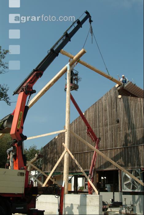 Rundholzbau 9