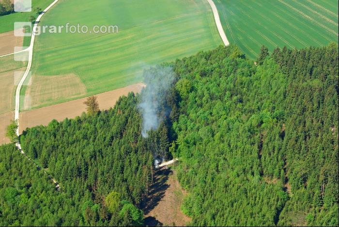 Feuer im Wald 2