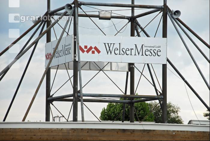 Welser Messe 1