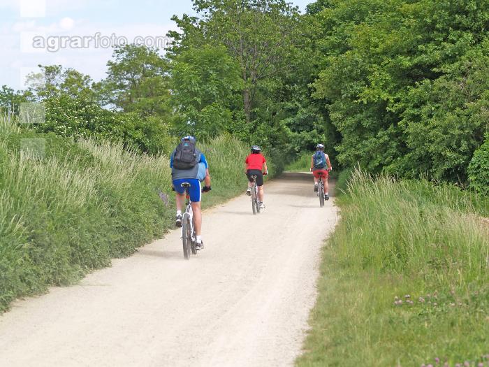 Radfahren 1