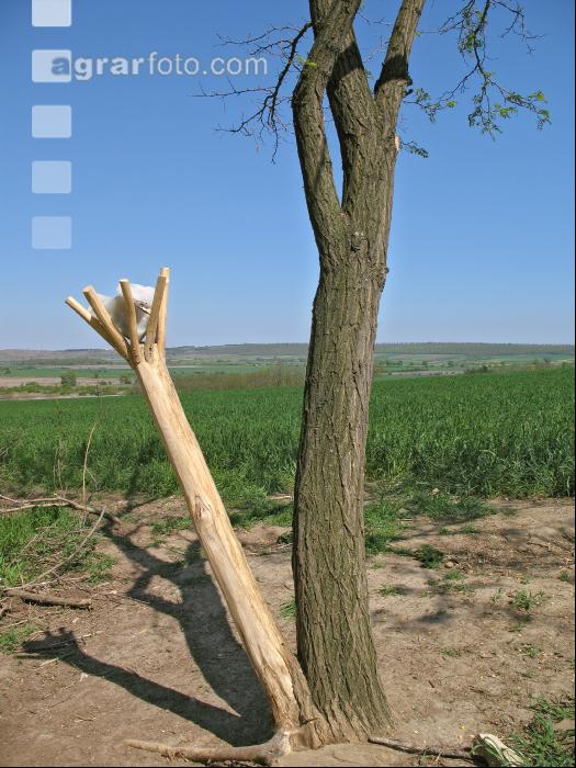 Salzlecke 1