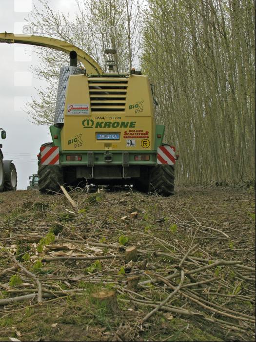 Energieholz Ernte 8
