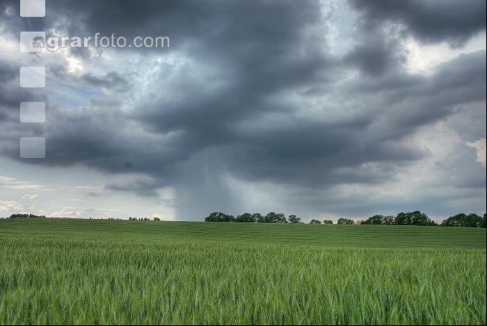 Gewitter kommt 1