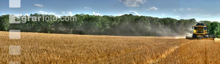 Gerstendrusch 1