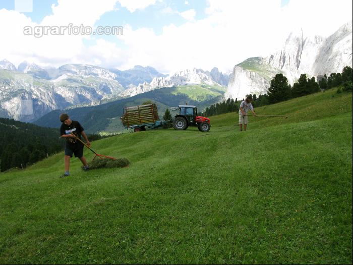 Bergbauern Südtirol 15