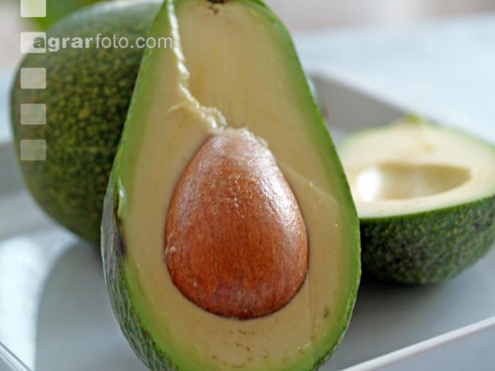 Avocado 1