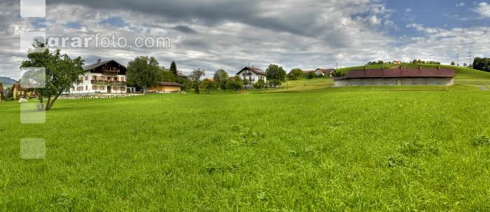 Hennenstall Panorama 5
