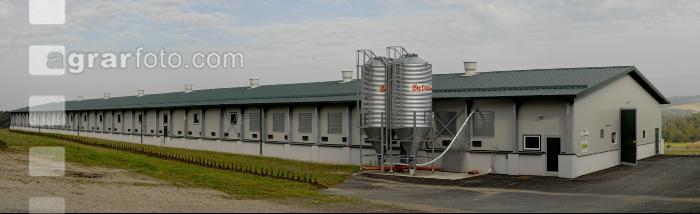 Hennenstall Panorama 6