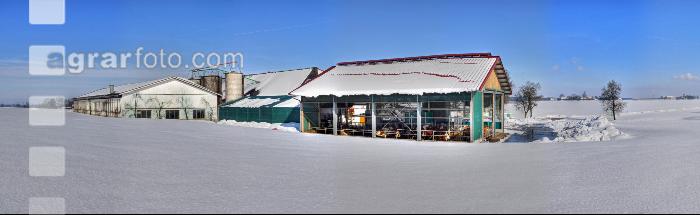Kuhstall Panorama 4
