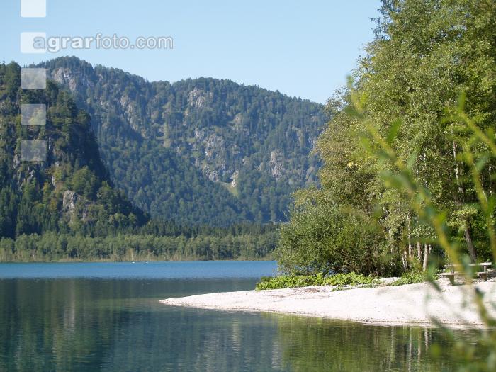 Almsee 2