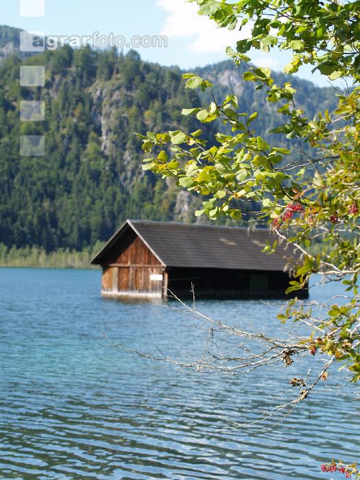 Almsee 1