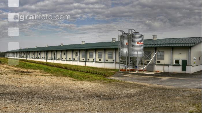 Hennenstall Panorama 4