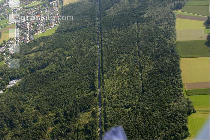 Strasse durch Wald
